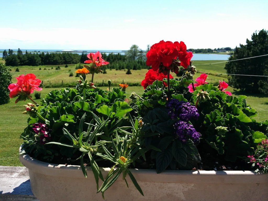 Tole Treasures & Antiques | 19832 Trans-Canada Hwy, Victoria, PE C0A 2G0, Canada | Phone: (902) 658-2581