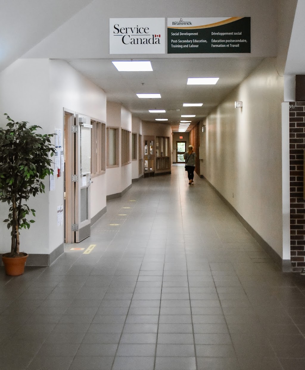 WorkingNB / TravailNB | 342 Main St, Shediac, NB E4P 1E7, Canada | Phone: (506) 533-3325