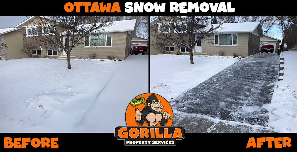 Gorilla Property Services | 40 Forest Creek Dr, Stittsville, ON K2S 1M2, Canada | Phone: (343) 430-0131