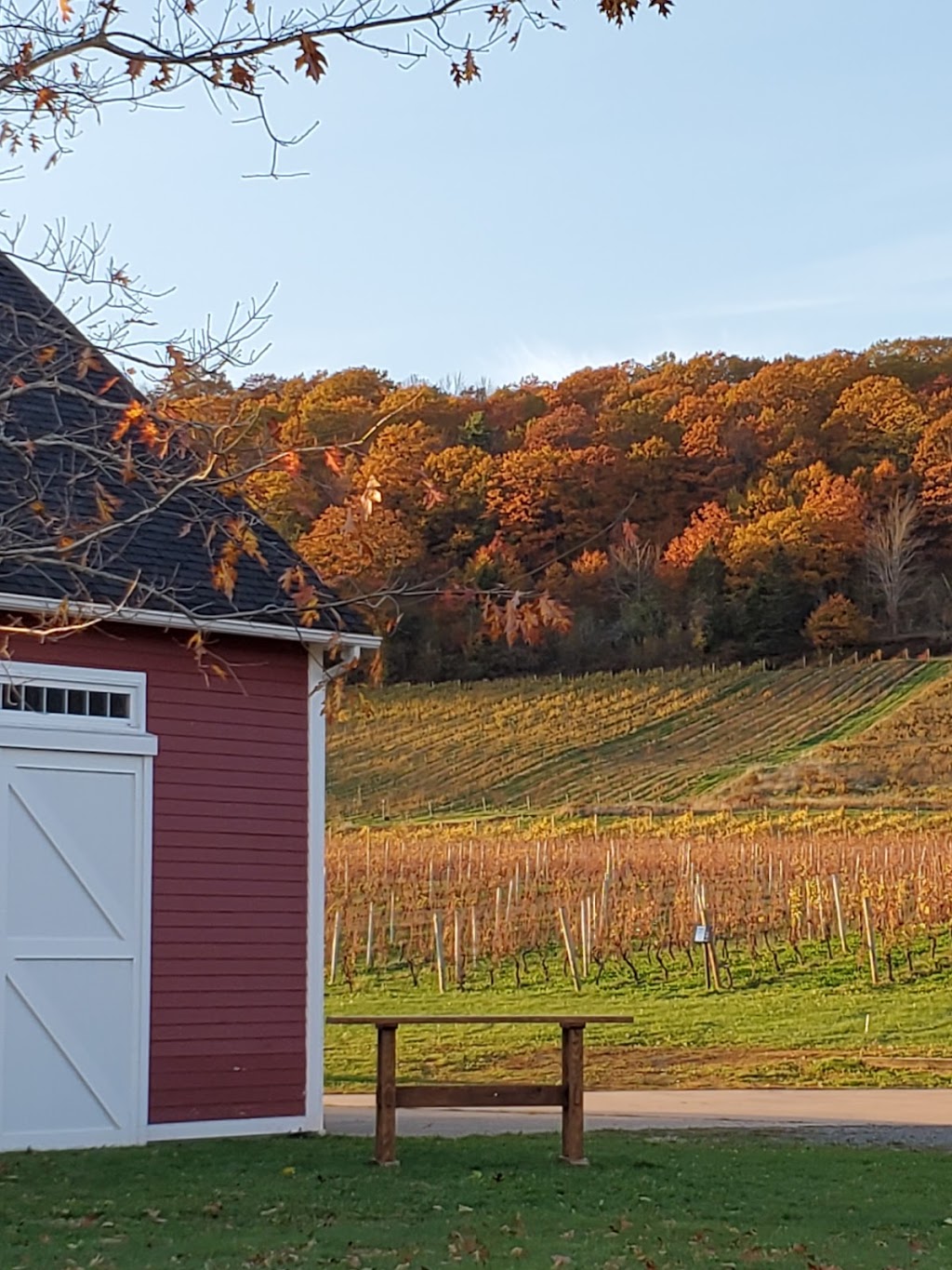 Gaspereau Vineyards | 2239 White Rock Rd, Wolfville, NS B4P 2R1, Canada | Phone: (902) 542-1455