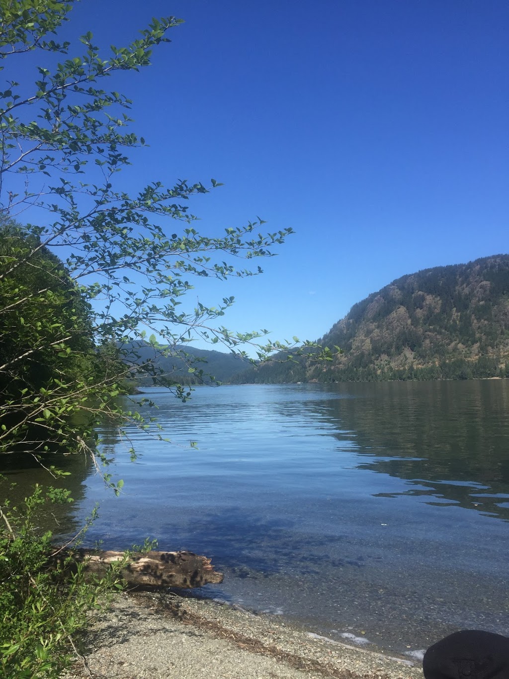 BC Forestry Research Station | 7060 Forestry Rd, Mesachie Lake, BC V0R 2N0, Canada | Phone: (250) 749-6811