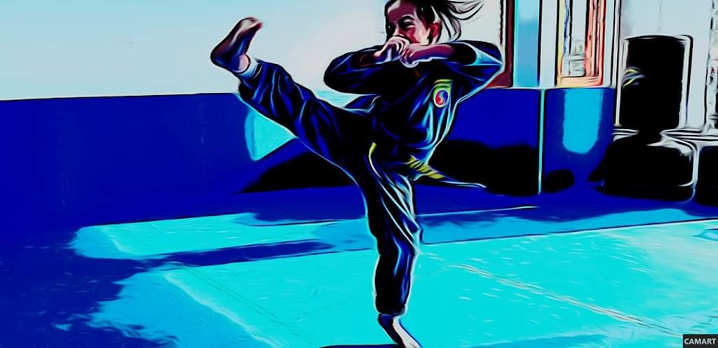 Vovinam Quebec À Laval | 103 A Bd de la Concorde O, Laval, QC H7N 1H8, Canada | Phone: (514) 501-2610
