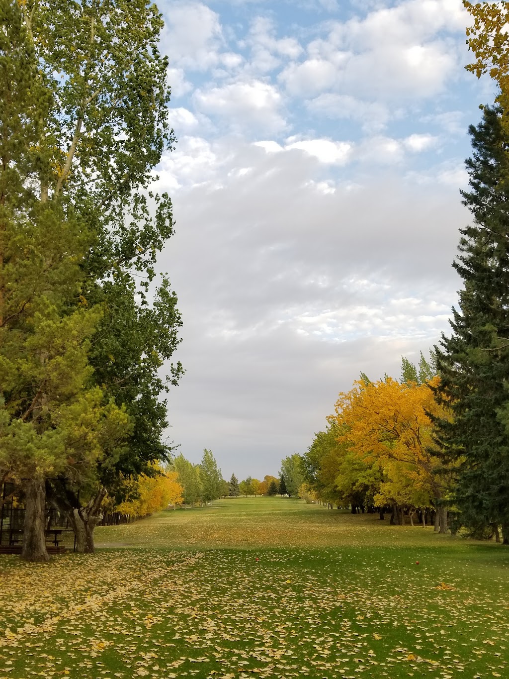 Wynyard Golf Club | 700 Avenue D W, Wynyard, SK S0A 4T0, Canada | Phone: (306) 554-2154