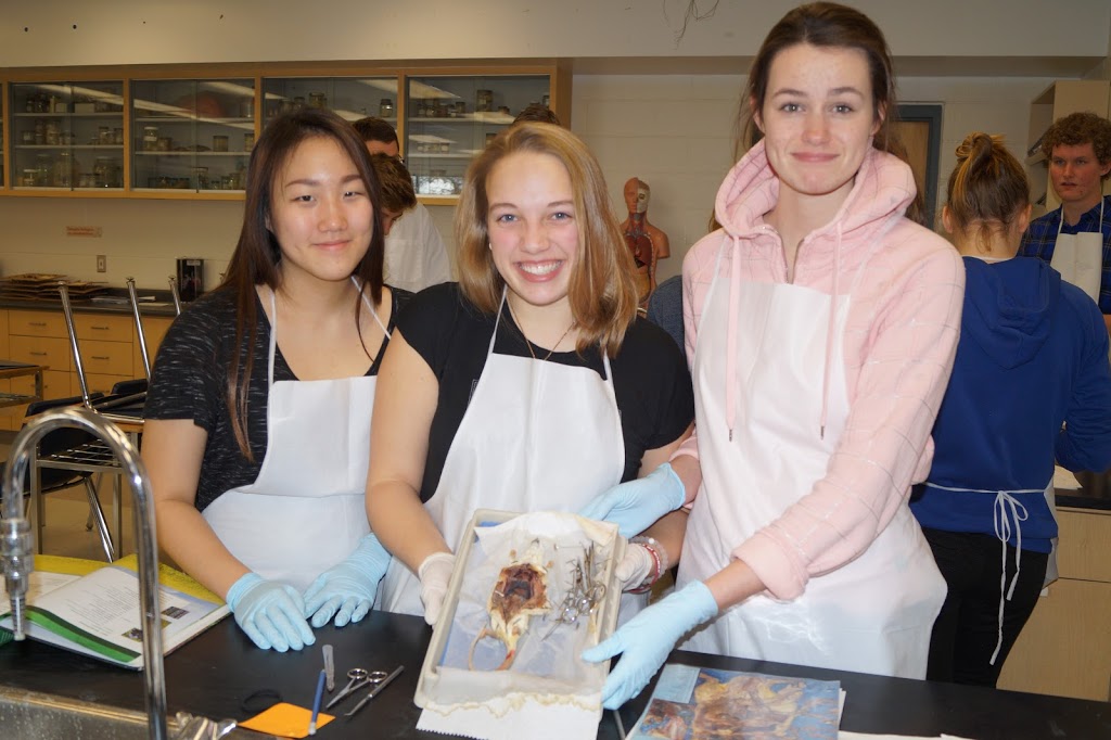 London Christian High | 24 Braesyde Ave, London, ON N5W 1V3, Canada | Phone: (519) 455-4360