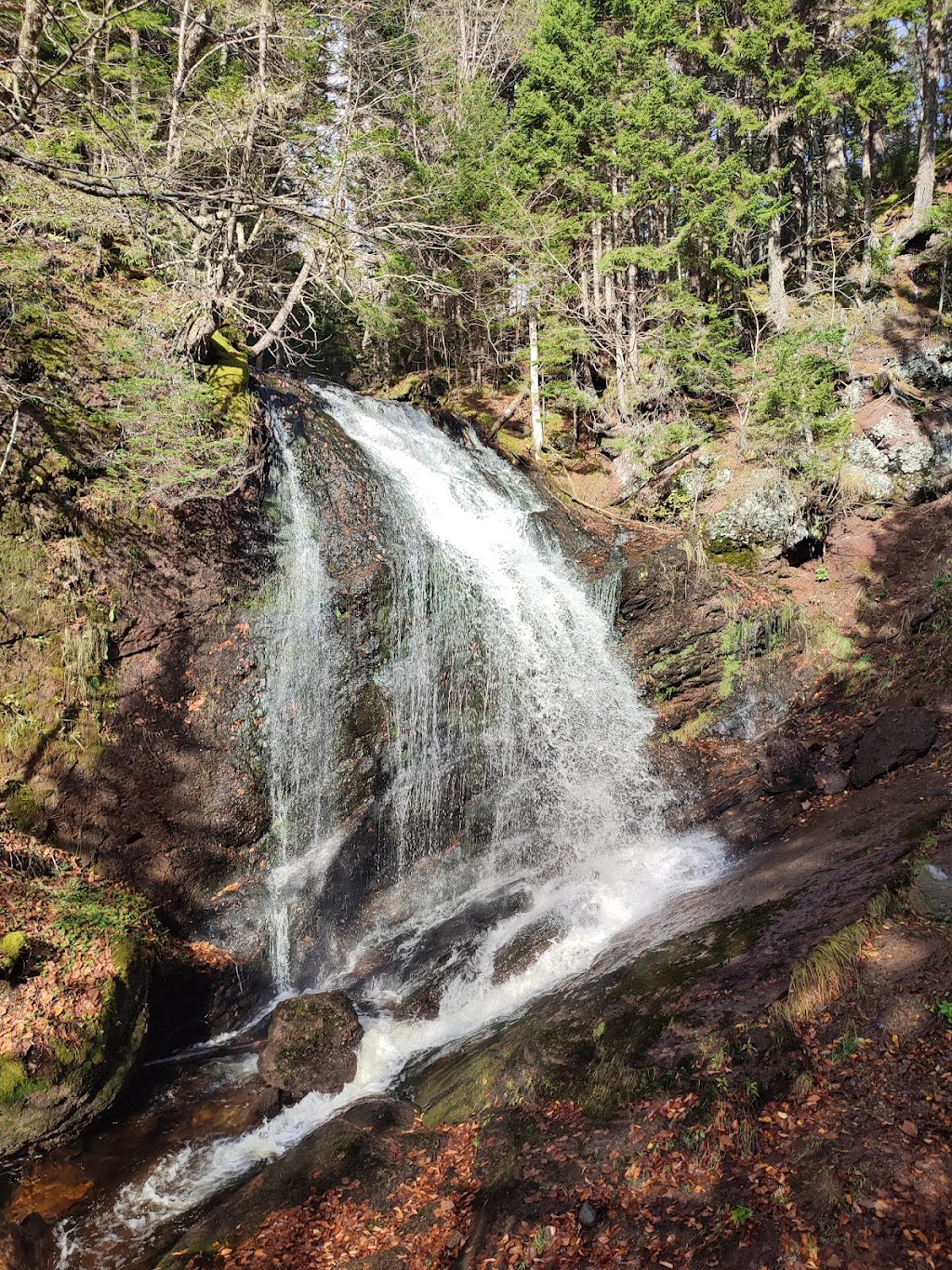 Fundy Trail Parkway | Saint Martins Parish, NB E5R, Canada | Phone: (866) 386-3987