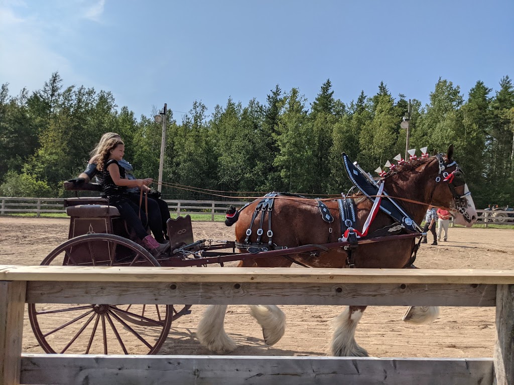 Petitcodiac Arena | 43 Corey Ave, Petitcodiac, NB E4Z 4G3, Canada | Phone: (506) 756-3126