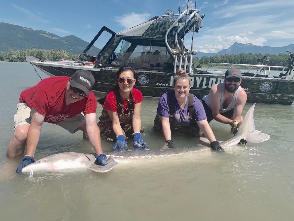 Kilbylodge-Sturgeon Adventures | 76 Kilby Rd, Agassiz, BC V0M 1A1, Canada | Phone: (604) 316-3988