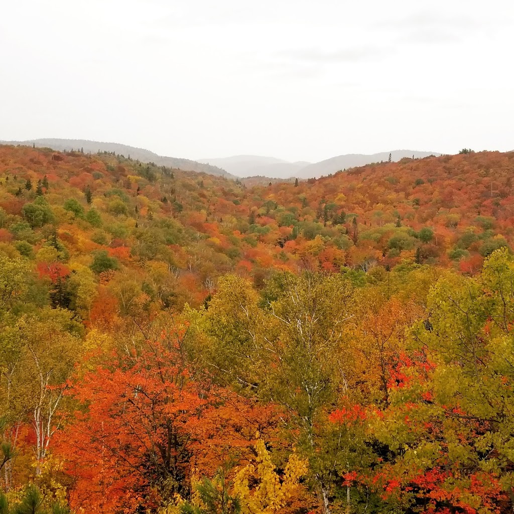 Forêt Ouareau Secteur Grande Vallée | 1034 Rue des Pâquerettes, Chertsey, QC J0K 3K0, Canada | Phone: (819) 424-1865