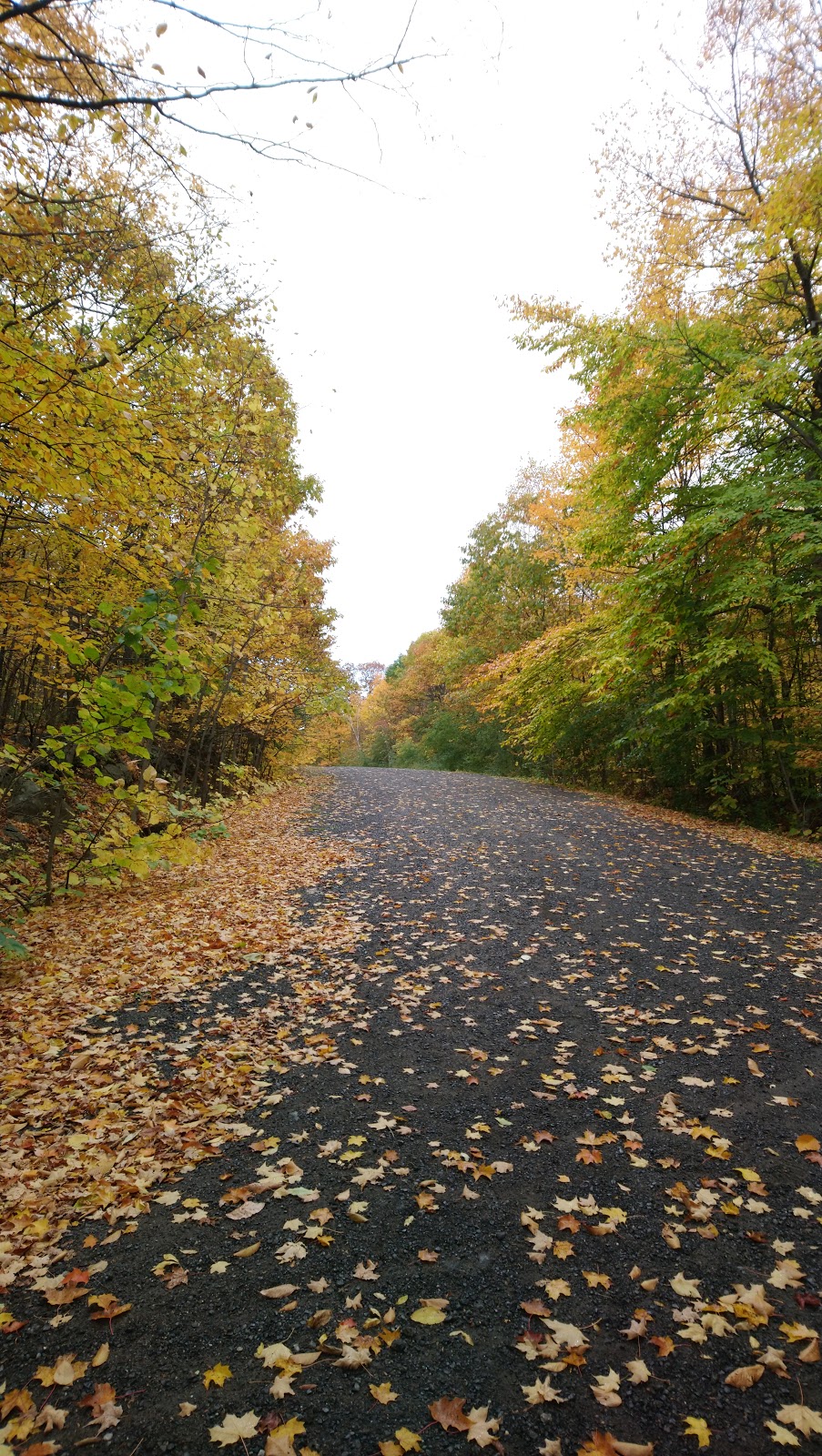Gatineau Park | Hull, Gatineau, QC J9A, Canada