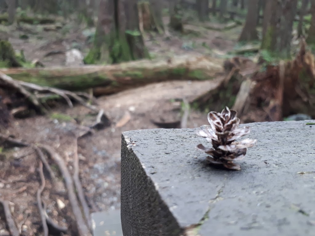 Sayres Lake Campground | Mission, BC V0M, Canada