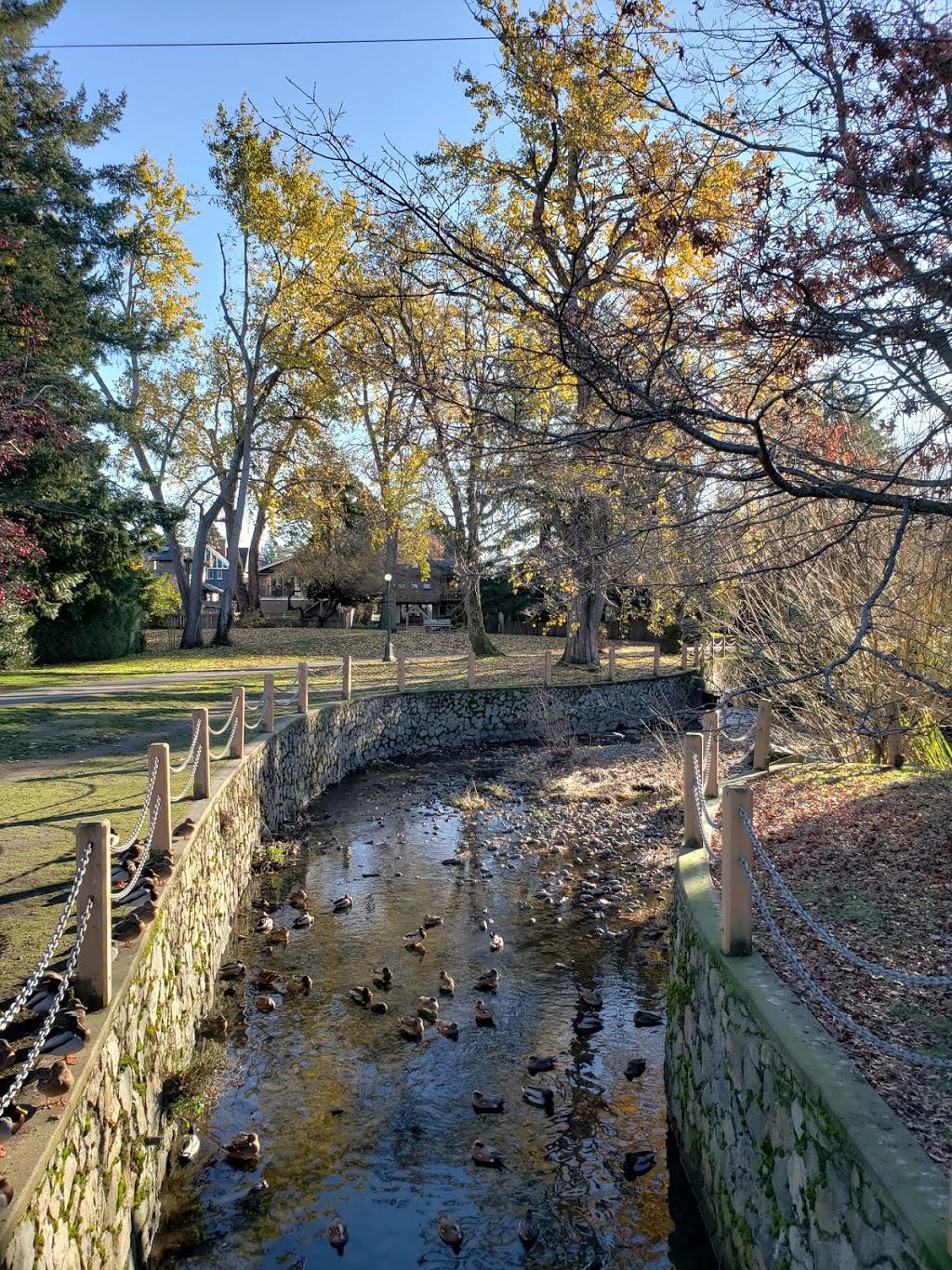 Bowker Creek Walkway Oak Bay | 1732 Armstrong Ave, Victoria, BC V8R 5S6, Canada | Phone: (250) 598-3311