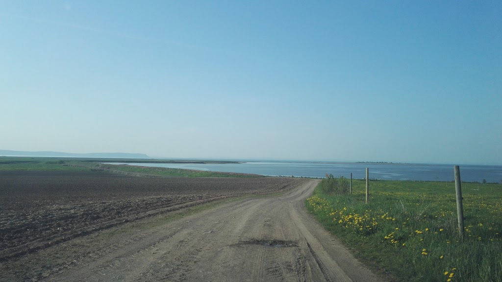Curry Knoll Farms | 124 Wharf Rd, Wolfville, NS B4P 2R3, Canada | Phone: (902) 542-9856