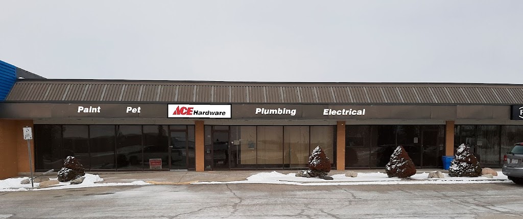 Arthur Ace Hardware | 480 Smith St unit 2, Arthur, ON N0G 1A0, Canada | Phone: (226) 524-1299