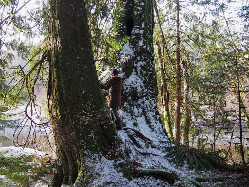 Bright Angel Regional Park | 4528 Tigwell Rd, Duncan, BC V9L 6N2, Canada | Phone: (250) 746-2500