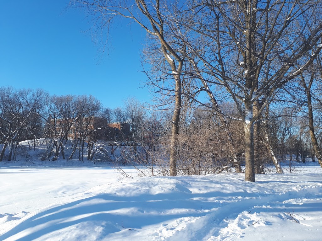 Parc des Champs Élysées | 44 Avenue des Champs Élysées, Notre-Dame-des-Prairies, QC J6E 7J9, Canada | Phone: (450) 271-5271