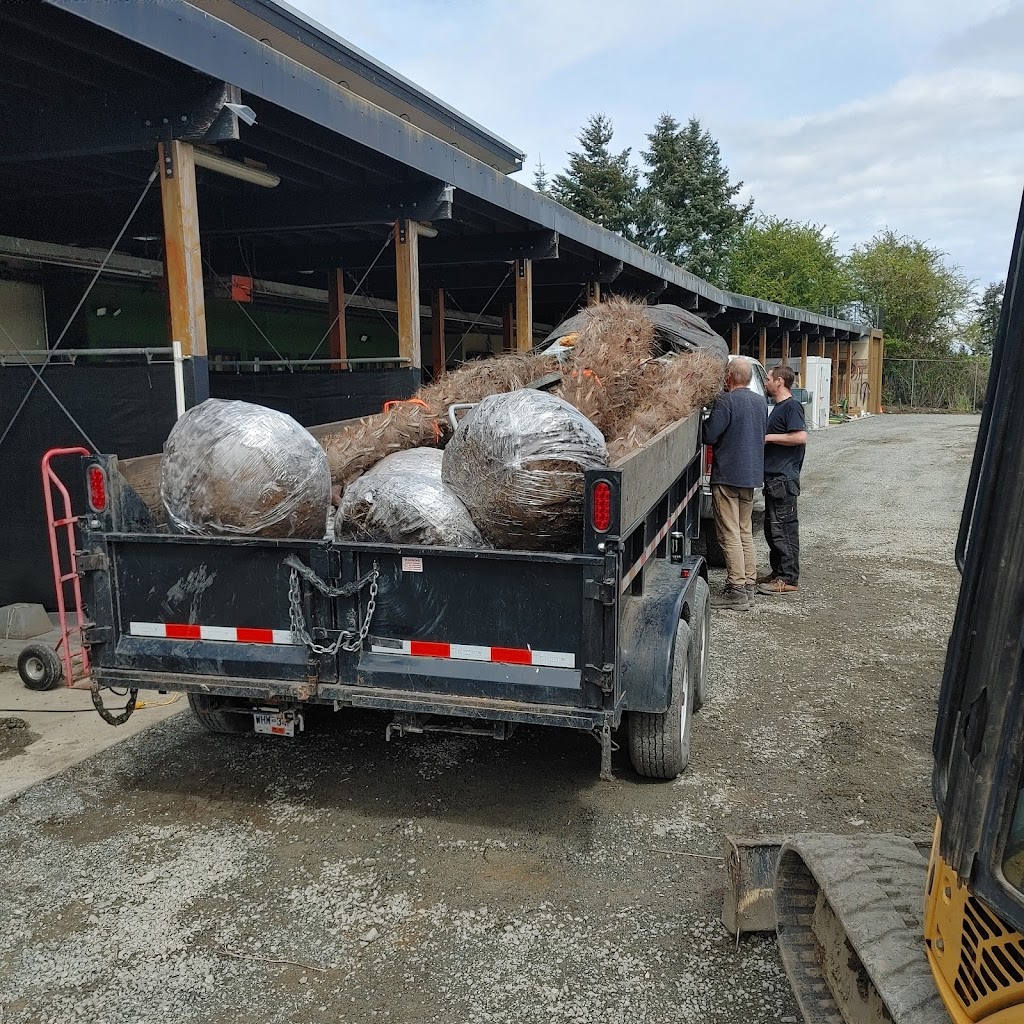 Cool Plants | 7081 Central Saanich Rd, Saanichton, BC V8M 1Y3, Canada | Phone: (250) 727-8444