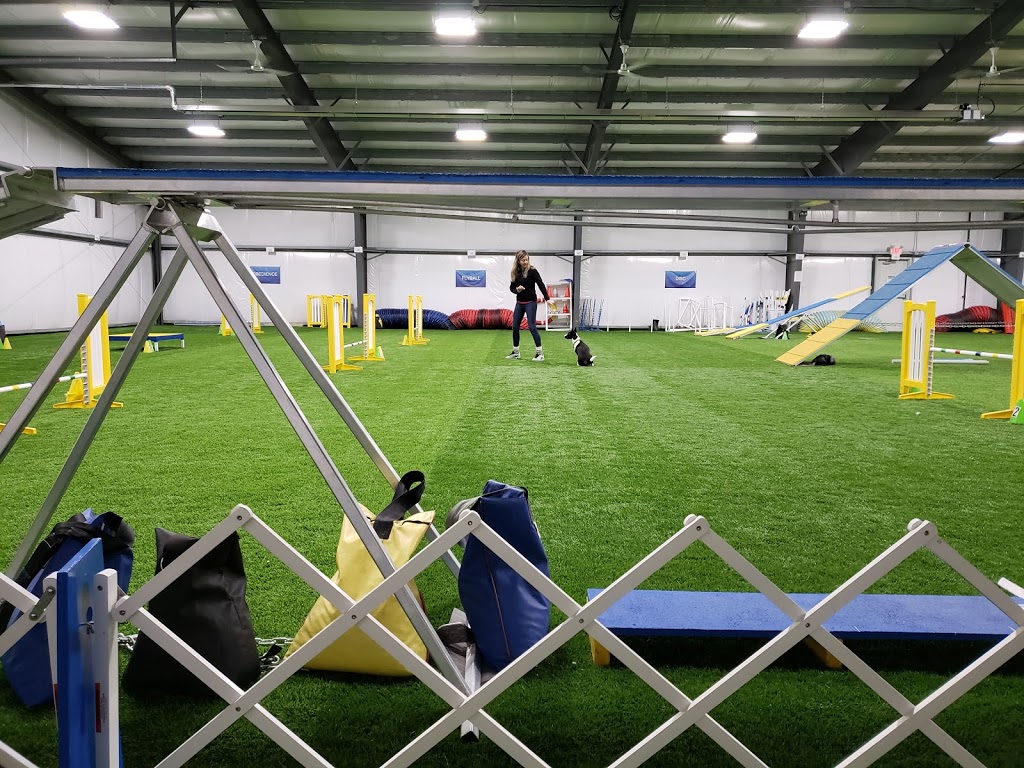 Mayrich Kennels | 8681 Eramosa Garafraxa Townline, Belwood, ON N0B 1J0, Canada | Phone: (519) 803-6366