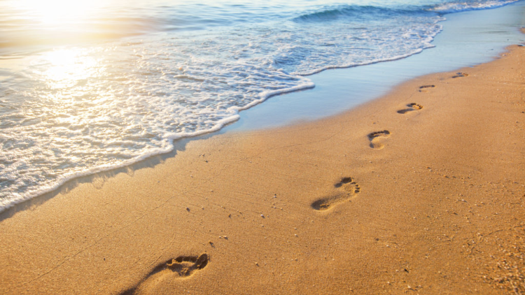 Footprint Health and Wellness Centre | 222 Mapleview Dr W Unit #10, Barrie, ON L4N 9E7, Canada | Phone: (705) 733-9990