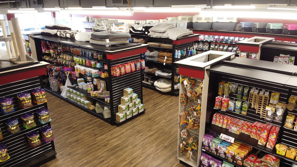 Pitou Minou & Compagnons GLOBAL- Blainville | 1356 Bd du Curé-Labelle #258, Blainville, QC J7C 2P2, Canada | Phone: (450) 818-4587