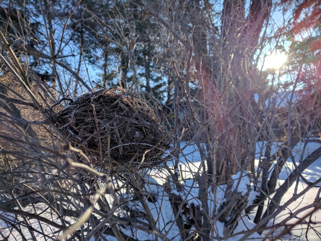 Beauchemin Park | Southboine, Winnipeg, MB R3R, Canada
