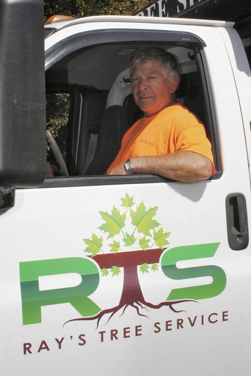 Rays Tree Service | 84 Concession 5 East, Tiny, ON L0L 2T0, Canada | Phone: (705) 322-1556