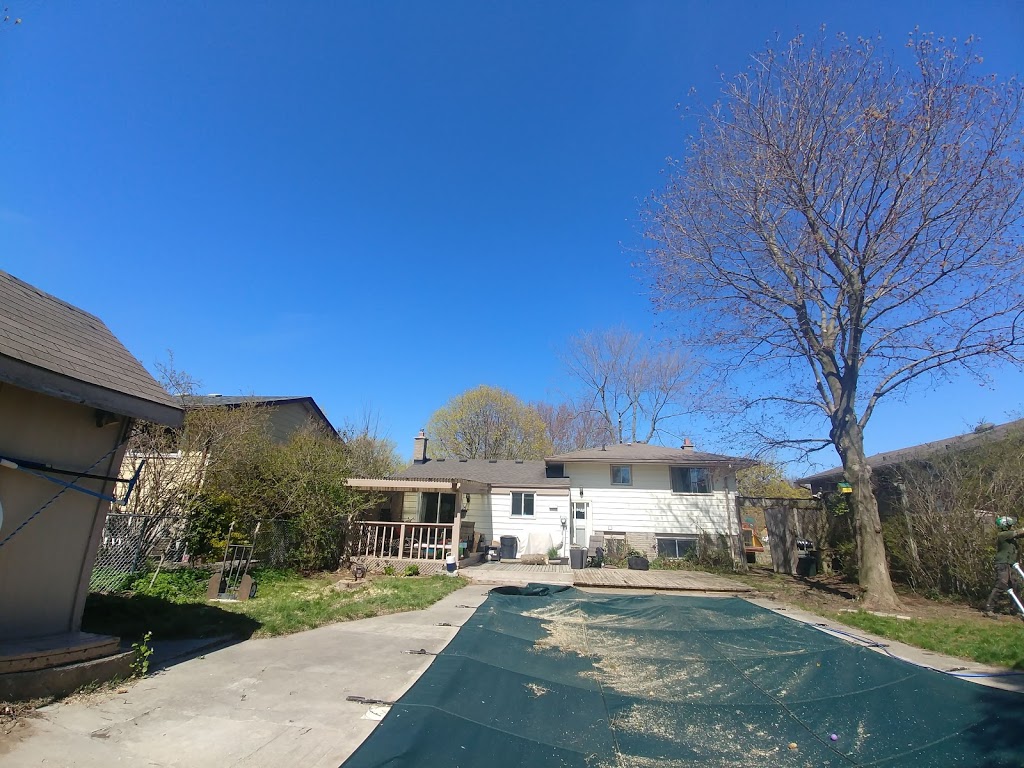 Conservatree | 22269, Adelaide St N, Ilderton, ON N0M 2A0, Canada | Phone: (519) 670-0882