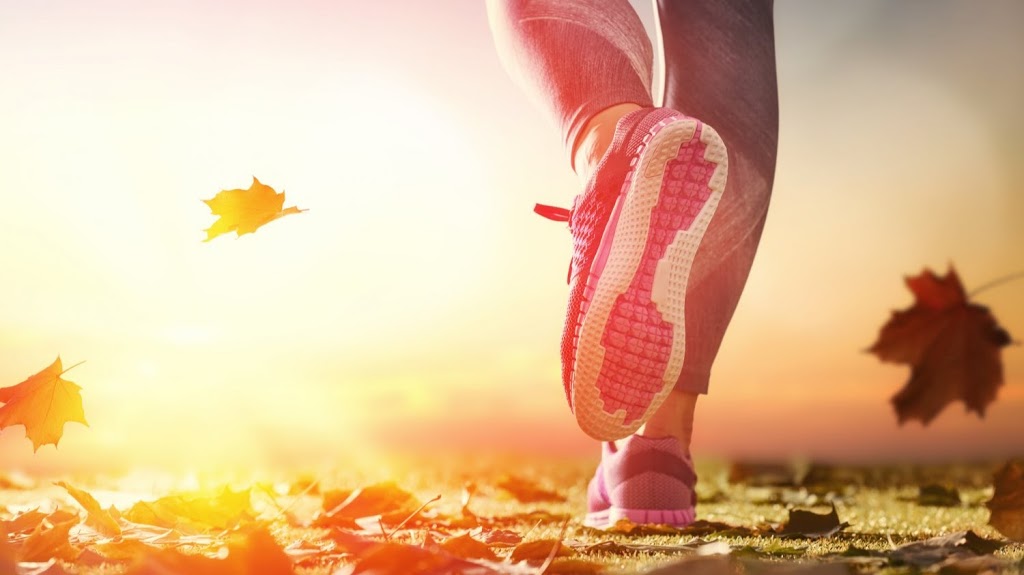 GYM SAINT SAUVEUR INC. | 700 Chemin Jean-Adam #130, Piedmont, QC J0R 1R3, Canada | Phone: (450) 227-4496