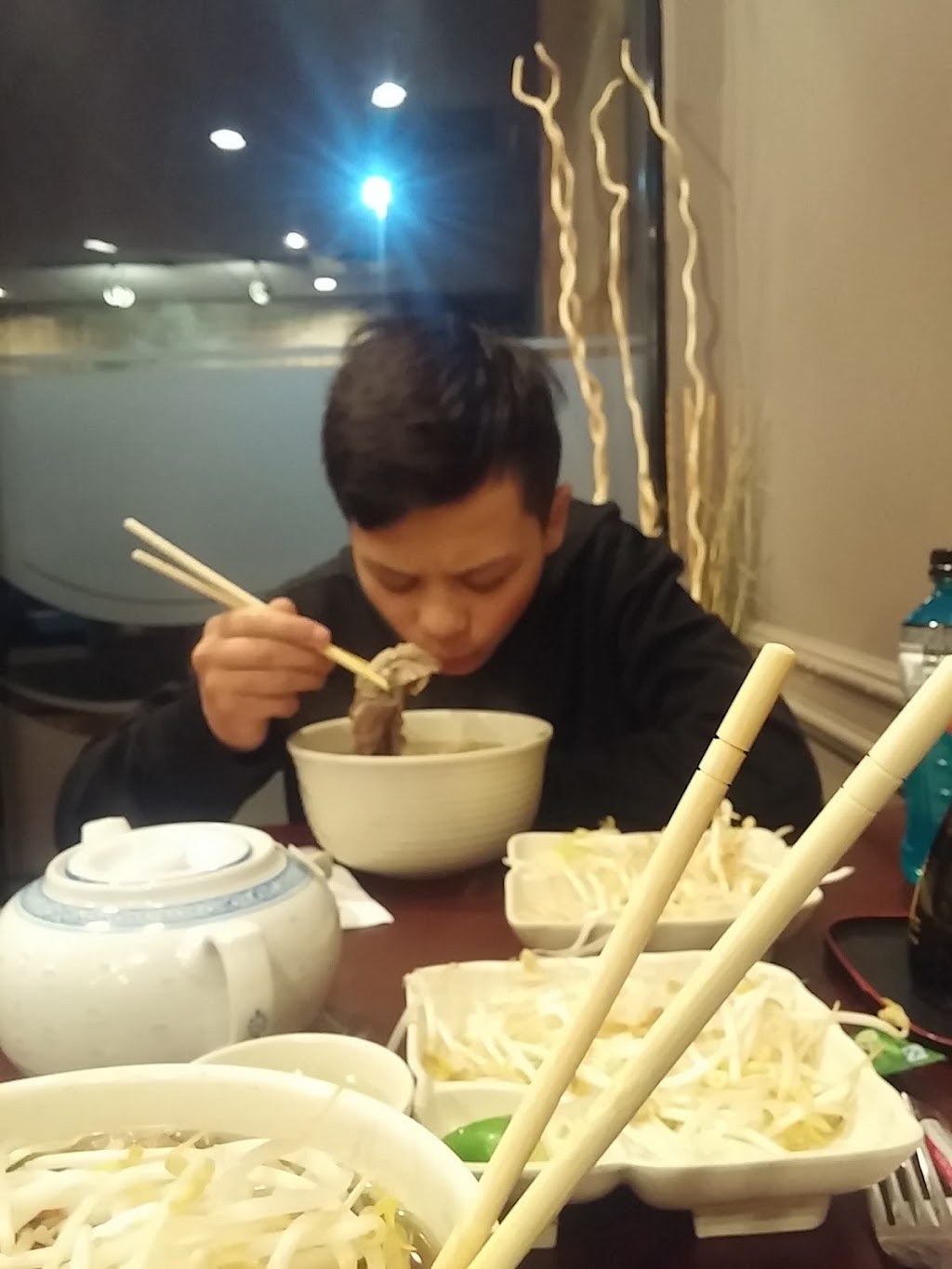 Lotus Garden Express | 26426 56 Ave, Langley City, BC V4W 3Z3, Canada | Phone: (604) 856-8855