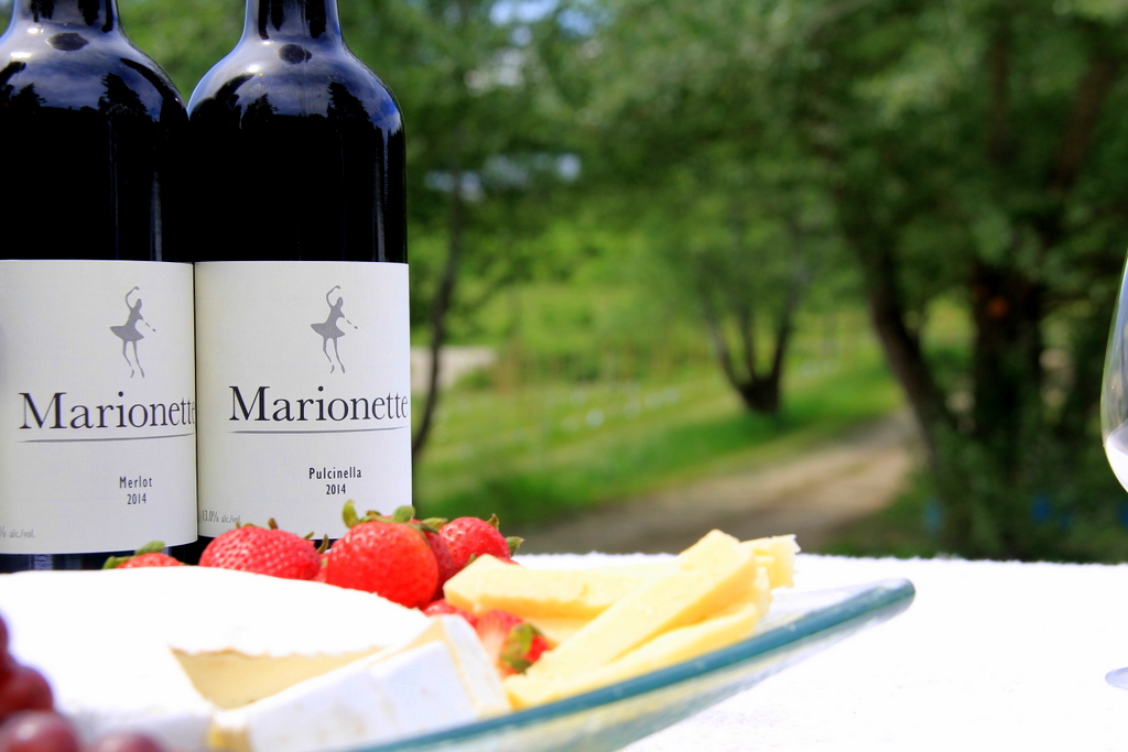 Marionette Winery | 2540 40th St NE, Salmon Arm, BC V1E 1Z3, Canada | Phone: (250) 832-7702