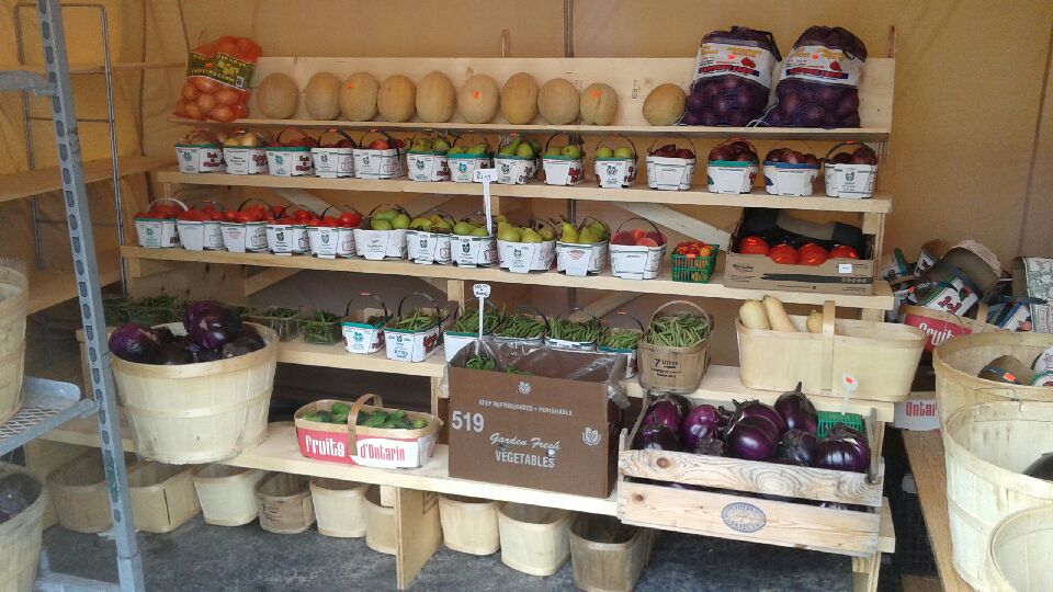 Kennedy garden center and growers of caledon | 13540 KennedyRoad South, Inglewood, ON L7C 2G2, Canada | Phone: (416) 567-7066