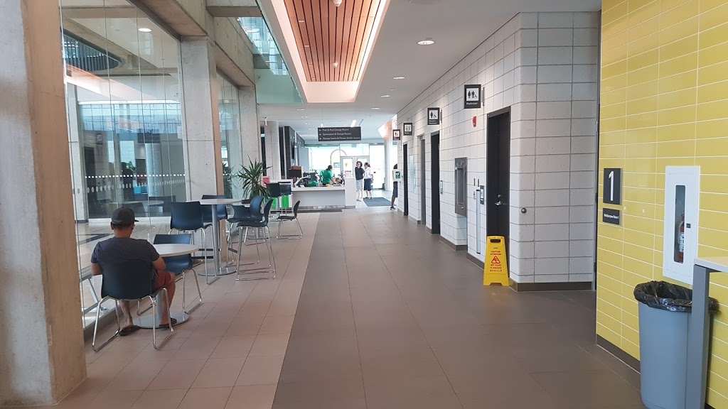 York Recreation Centre | 115 Black Creek Dr, Toronto, ON M6A 0A9, Canada | Phone: (416) 392-9675