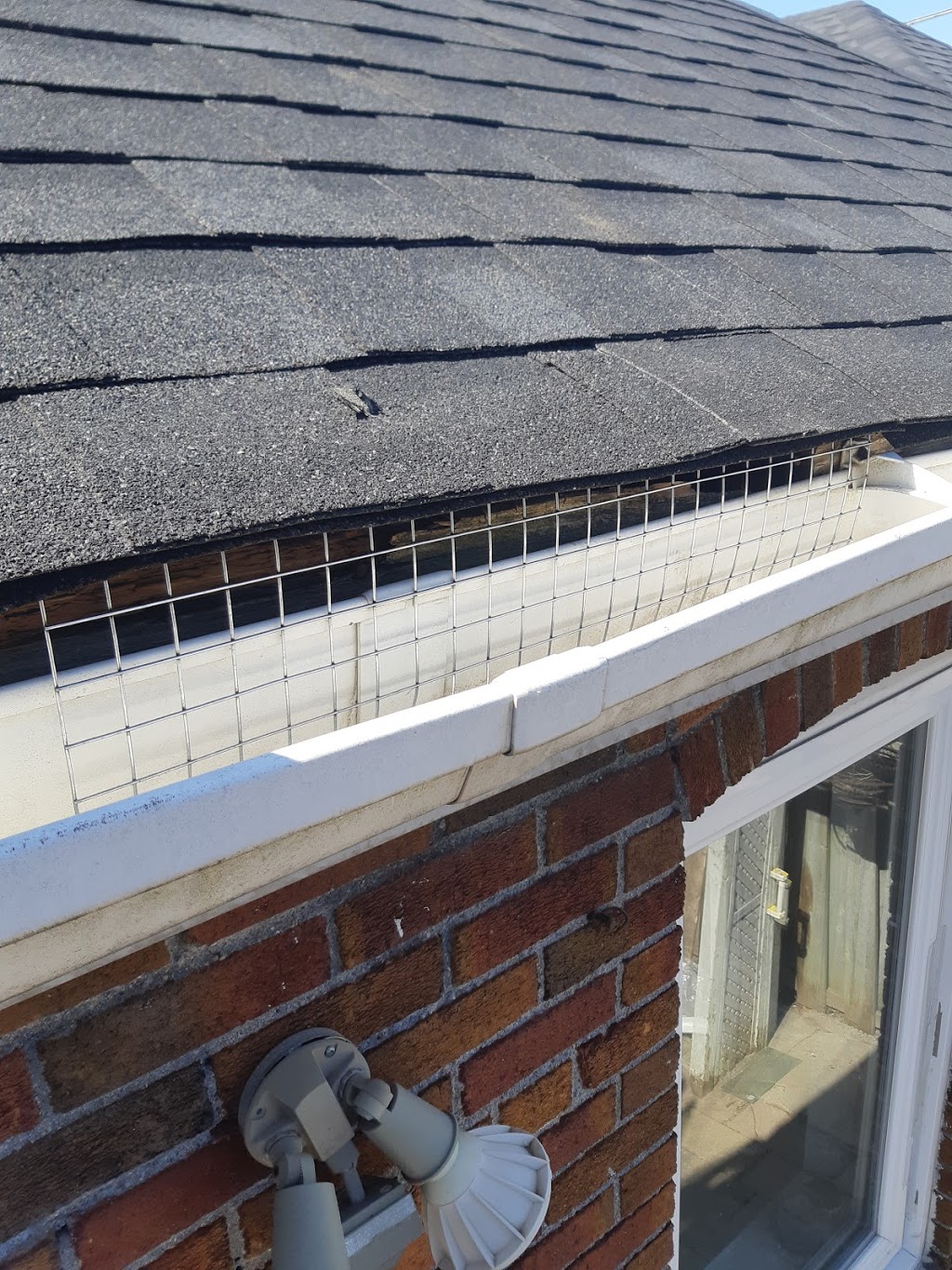 Pest Proof Canada | 163 Asleton Blvd #1000, Milton, ON L9T 9L2, Canada | Phone: (647) 241-6863