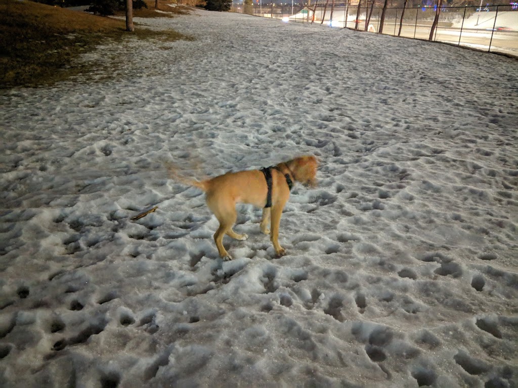 Bonavista Off Leash Area 4 | 1465 Lake Sylvan Dr SE, Calgary, AB T2J 3C9, Canada