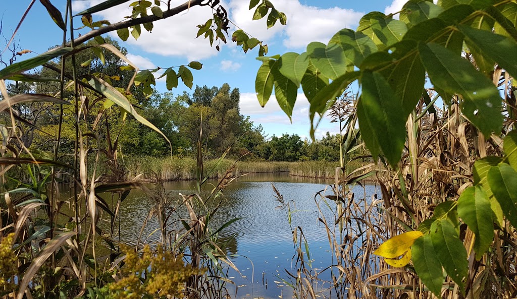 Credit Valley Conservation Authority | 1255 Old Derry Rd, Mississauga, ON L5N 6R4, Canada | Phone: (800) 668-5557