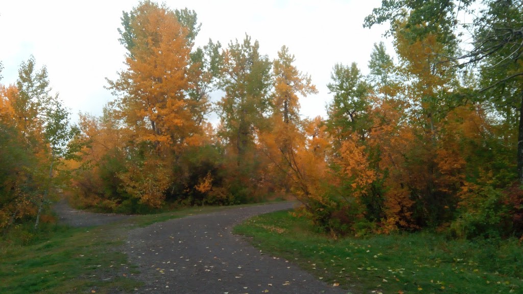 Black Diamond Offleash Park | 218 2 St NW, Black Diamond, AB T0L 0H0, Canada | Phone: (587) 888-3925