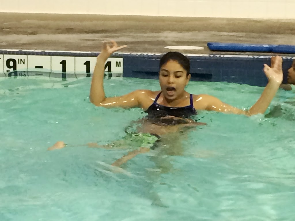 B & C Aquatics | 821 Brock Rd Unit 10, Pickering, ON L1W 3L6, Canada | Phone: (905) 420-4141