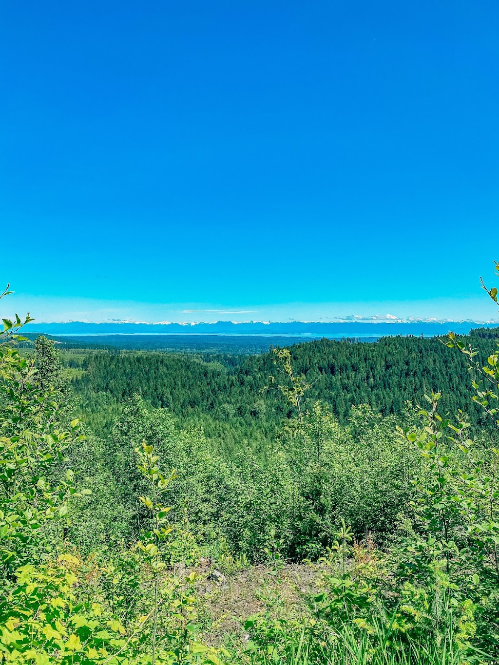 Forbidden Plateau Mountain Resort and Campground | 8010 Forbidden Plateau Rd, Courtenay, BC V9J 1L2, Canada | Phone: (250) 897-2522