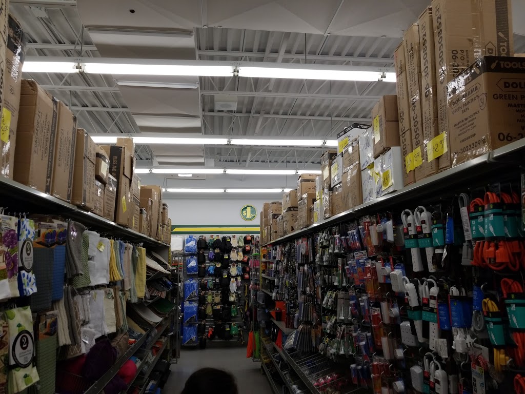 Dollarama | 135 Peter St, Port Hope, ON L1A 1C5, Canada | Phone: (905) 885-8374
