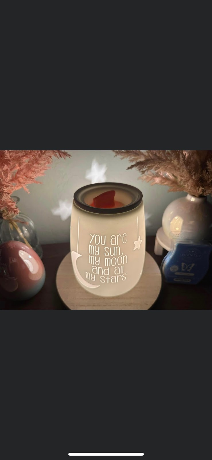 Janelle’s Favourite Scents, Independent Scentsy Consultant | Canfield Pl, Shelburne, ON L0N 1S2, Canada | Phone: (519) 940-6575