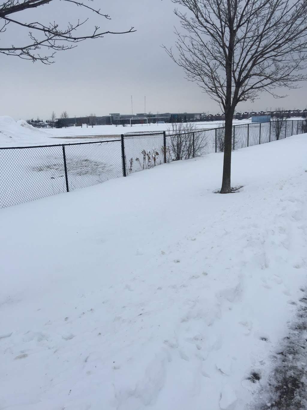 Harold M. Brathwaite Secondary School | 415 Great Lakes Dr, Brampton, ON L6R 2Z4, Canada | Phone: (905) 793-2155