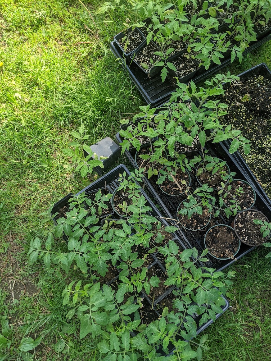 Les Jardins Épicuriens | 1320 Rang Papineau, Saint-Paul-dAbbotsford, QC J0E 1A0, Canada | Phone: (579) 361-3561