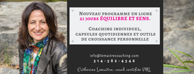 Lemaitre Coaching | 1436 Bd du Curé-Labelle Suite 206, Blainville, QC J7C 2P2, Canada | Phone: (514) 582-4546