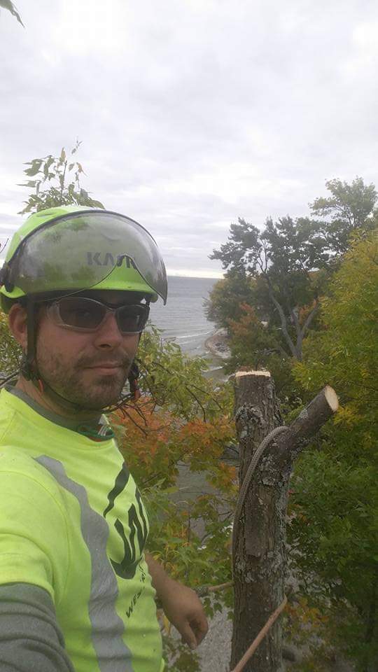 Apex Tree Surgeons - Tree Services Orillia | 4 Cheslock Cres, Orillia, ON L0K 2G0, Canada | Phone: (705) 955-7424