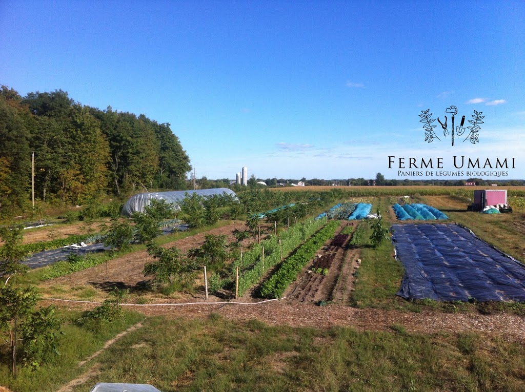 Ferme Umami: Point de livraison Beauharnois | 530 Boulevard Cadieux, Beauharnois, QC J6N 0R5, Canada | Phone: (514) 609-1503