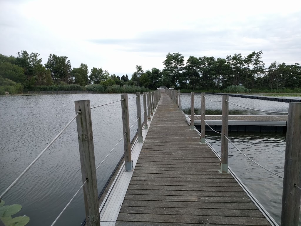 Bluffers Park Parking | Bluffers Park, Toronto, ON M1M 3W3, Canada