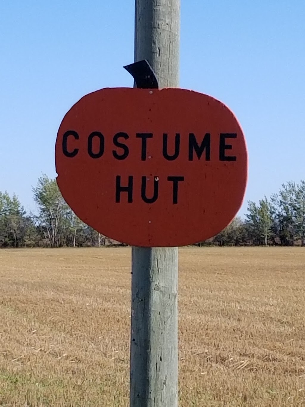 Costume Hut | Down town Ledwyn 14050, Road 136 North, Rd 14 E, Ledwyn, MB R0C 2R0, Canada | Phone: (204) 651-3191