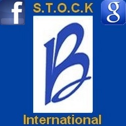 La Maison Barakett & Grossiste international | 300 Rue Barkoff, Trois-Rivières, QC G8T 2A3, Canada | Phone: (819) 372-6133