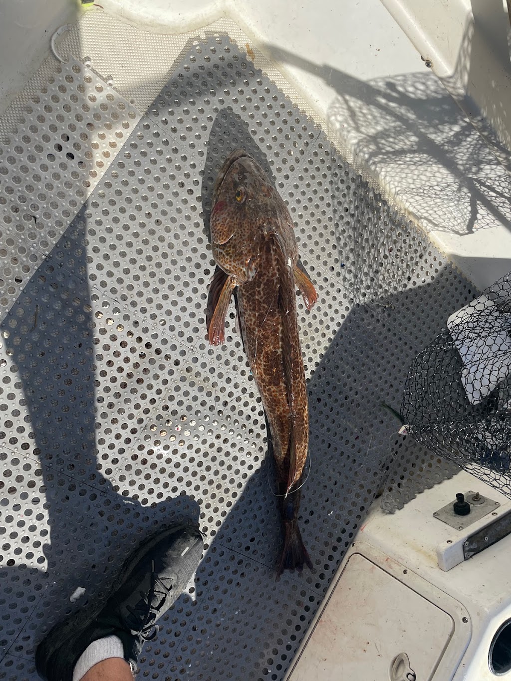 Fijian Son Fishing Charters | 4901 East Sooke Road, Victoria, BC V9Z 1B6, Canada | Phone: (250) 217-7737