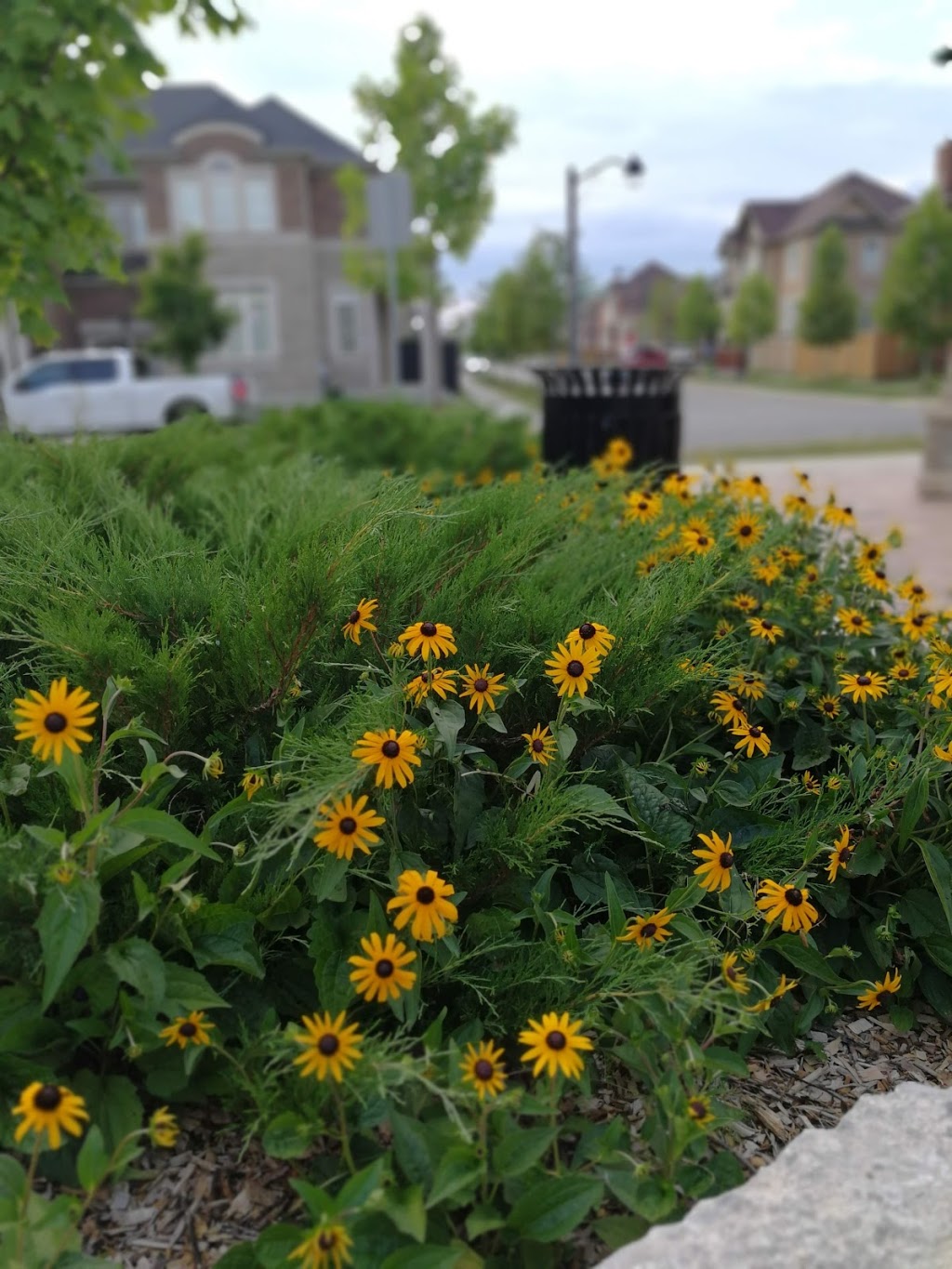 Kaitting House Parkette | Lane 141, Oakville, ON L6M 4M1, Canada