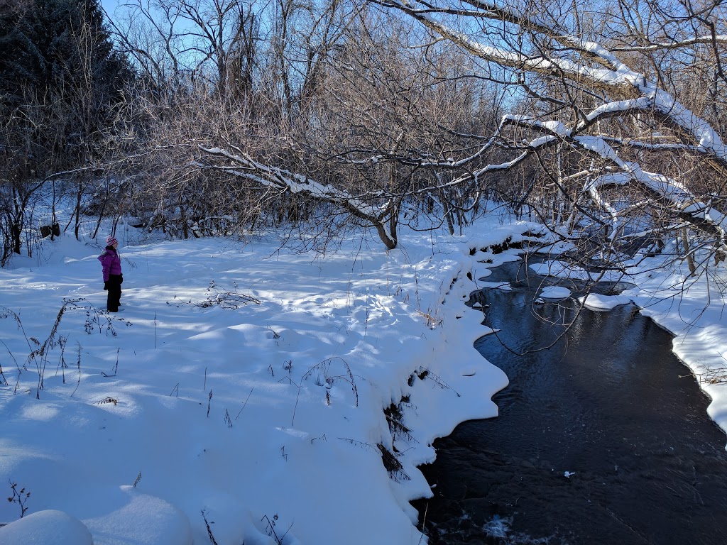 George C Brown Park | 2346 Rembrandt Rd, Ottawa, ON K2B 7P5, Canada | Phone: (613) 580-2595